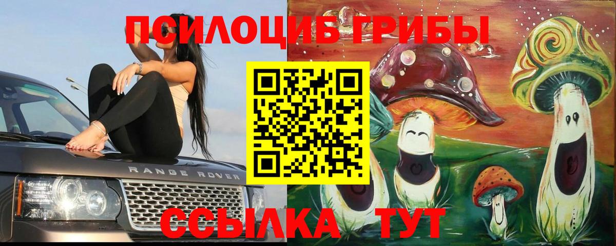 Галлюциногенные грибы GOLDEN TEACHER  Вход с VPN  Галлюциногенные грибы мухоморы  Кандалакша 