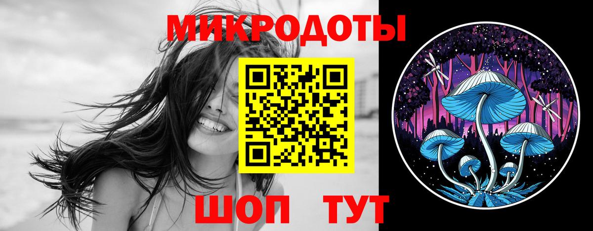 Псилоцибиновые грибы Psilocybine cubensis Кандалакша